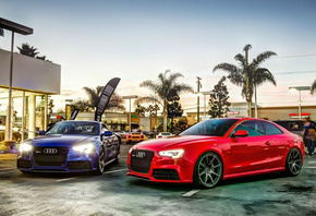 ����, ���������, ����, �����, ����