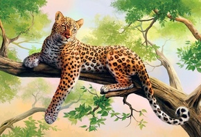 leopard, lazy, branch, tree