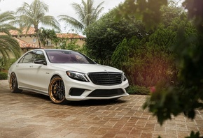 �������� ����, ������, ����, ����, ������