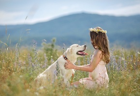 dog, girl, fields, grass