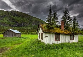 house, cottage, tree, grass, green