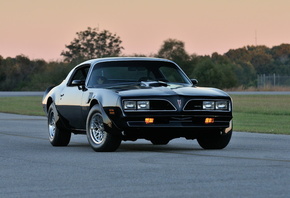 Pontiac, , , 1978, Firebird Trans Am WS6, T-Top