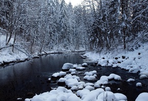 winter, river, snow, ice, tree
