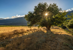 �������, ������, �����, ����, ������, ����, ������, ����