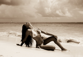 adelina pestritu, ���������, ����, �����, �����, ����, �����, ����, ������, ����, �����