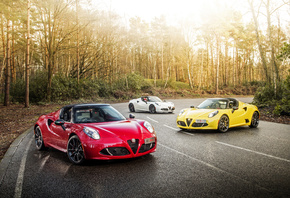 , Alfa Romeo, , 3, 2016, 4C, Spider, Anniversario