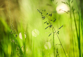 ����, �����, ���, ��������, �����