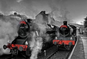 ����, ����� ���, ��, ��������, �������, ����