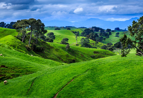 ����� ��������, ������, ���, �������, �������, ����