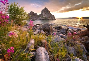 �����, ������, �����, �����