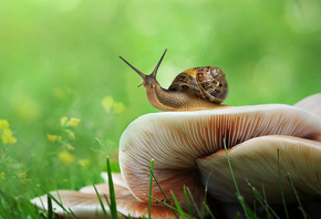 ������, �����, ����, �����