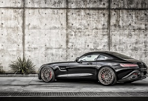 �������� ����, ��������, �����, ����� ���