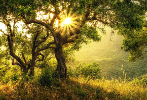 �������, ����, ������, �������, �����, ��������� ������, ������, ����