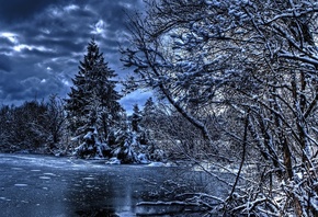 winter, tree, river, ice