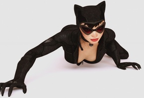 art, , Catwoman, , , , , , , , Batman, Arkham City Armored Edition