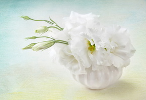 �������, �����, ����, �����, ������