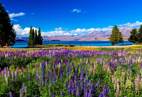 ������, ����, ����, �����������, ����, �������