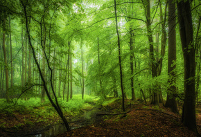 �������, ����, ���, �������, ����, ������