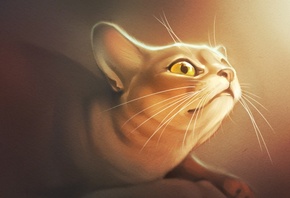 ���, �����, �����, ���, 3d