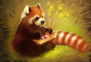 �����, �������, ����, �������, ������