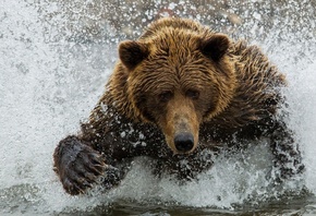 �������, �����, �������, ������, ��������