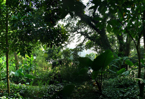 ��������, ����, �������, �����, �������