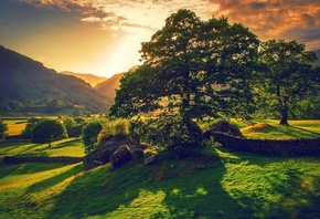 sunset, mountains, trees, pleasant