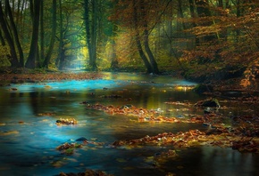 �����, �����, ���, �������, �������, ������, ���, ������