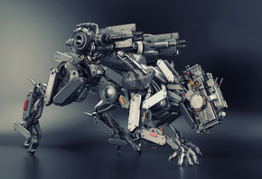 ����, ����������, �����