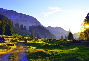 sunrise, path, trees, sunlight