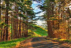 path, hills, trees, field
