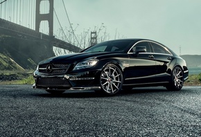 ��������, �������� ����, ����, �������