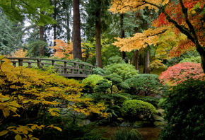 ���, ���, ����, �����, �������, Portland, Oregon, �������