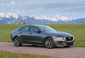 Jaguar, ��������, ������, �������, ����