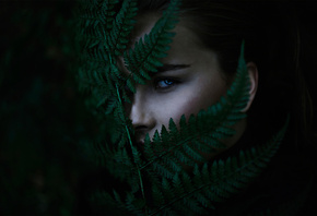 ����� ����, Michael Farber, �������, �������, ������