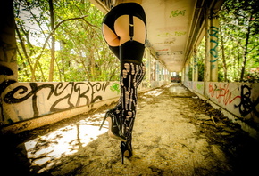 �������, ����, �����