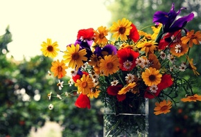 �����, �������