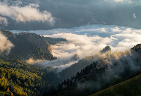 �������, ����, �����, �������