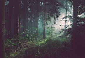 �������, ���, ����, �������