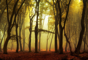 �������, �����, ���, ����, �����, ������, ����