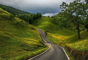 road, tree, hills, clouds