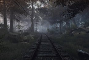 �������� ������, ���, �����, ������