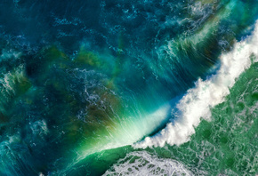 ����, �����, �����, ������, �������