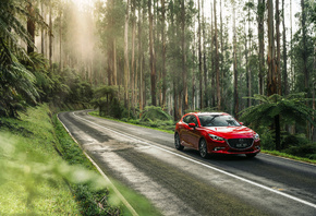 �����, ������, ���