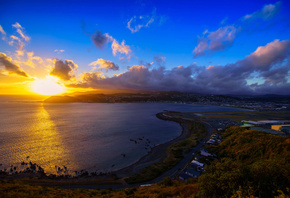 ����� ��������, ������, ���������, �����, Wellington, ������, �������, �����