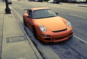 �����, ��������, �����