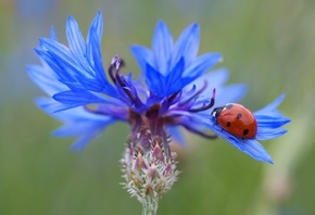 ������, �����, ����� �������, �����, ����������