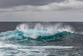 ����, ����, �����, �����