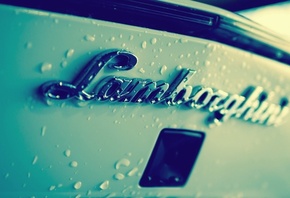 lamborghini, ����������, ������