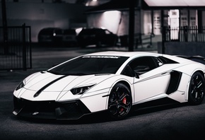 lamborghini, ����������, ������